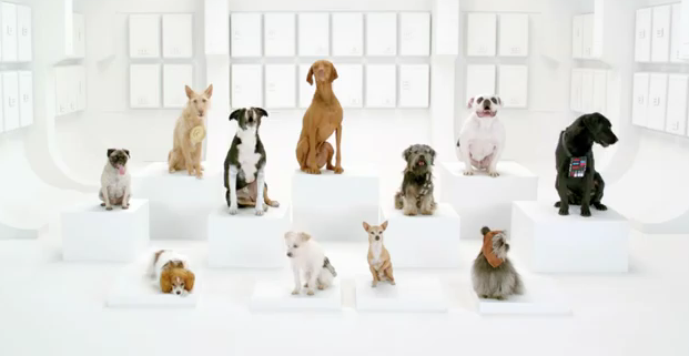 The Bark Side: Volkswagen Super Bowl reklam